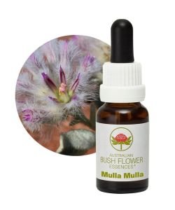 Mulla Mulla, 15 ml